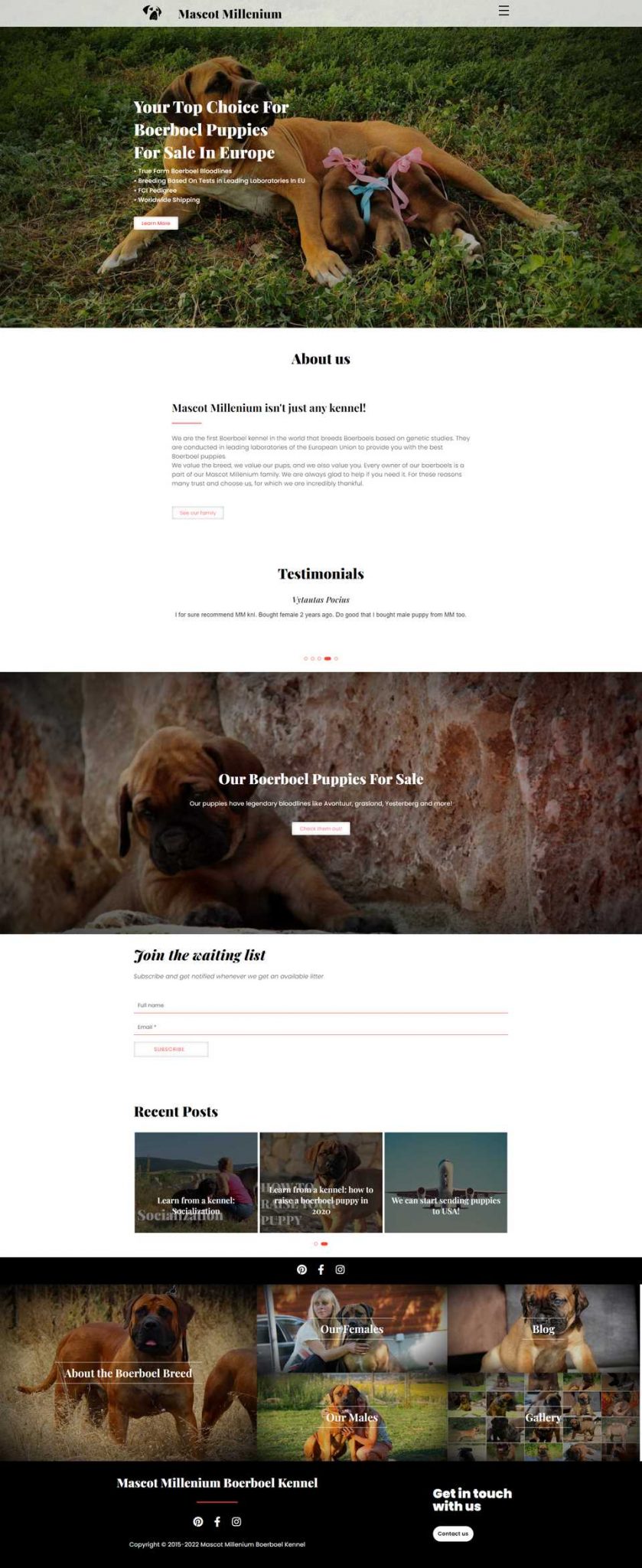 mascotmillenium-website-screenshot