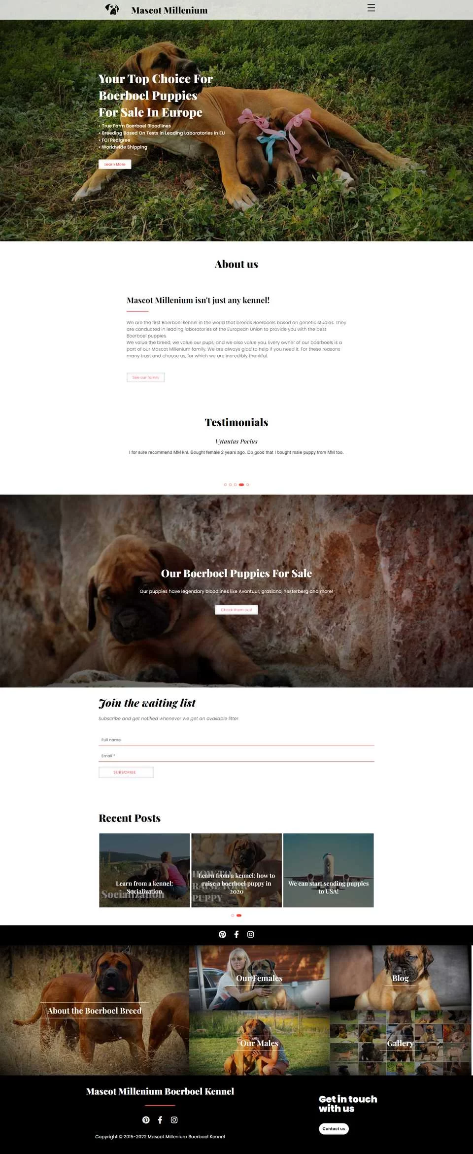 Mascot Millenium website